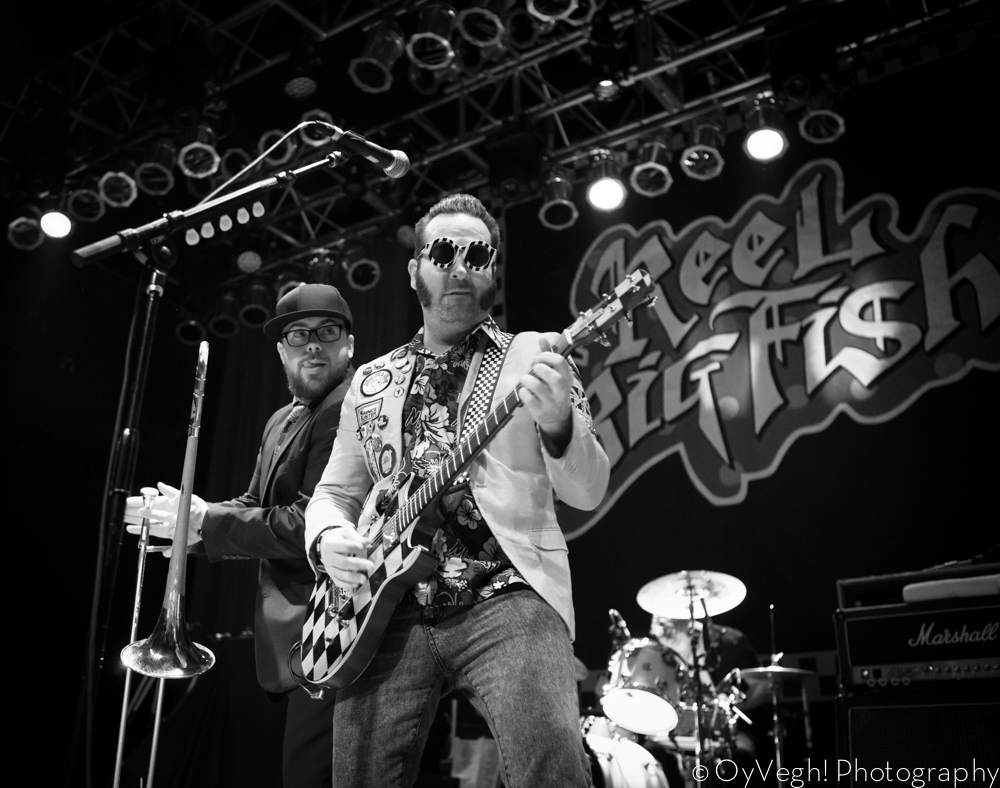 MWA Live: Reel Big Fish & Less Than Jake at the House of Blues Cleveland -  1/23 - Midwest Action